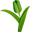 Green Tulip Advisory