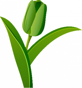 Green Tulip Advisory